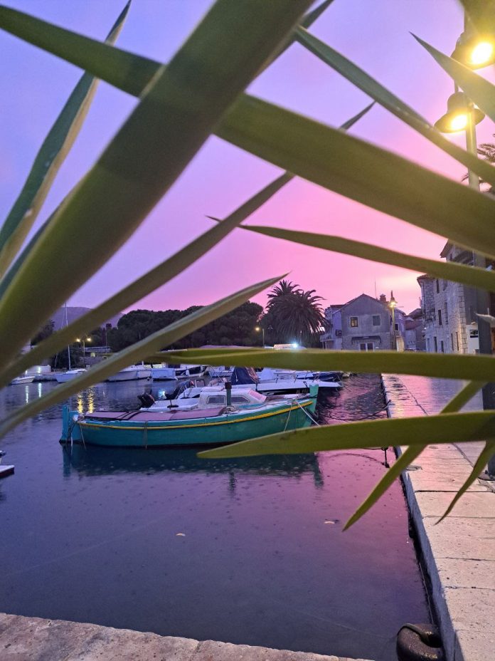 photo_2025-01-13_13-08-40