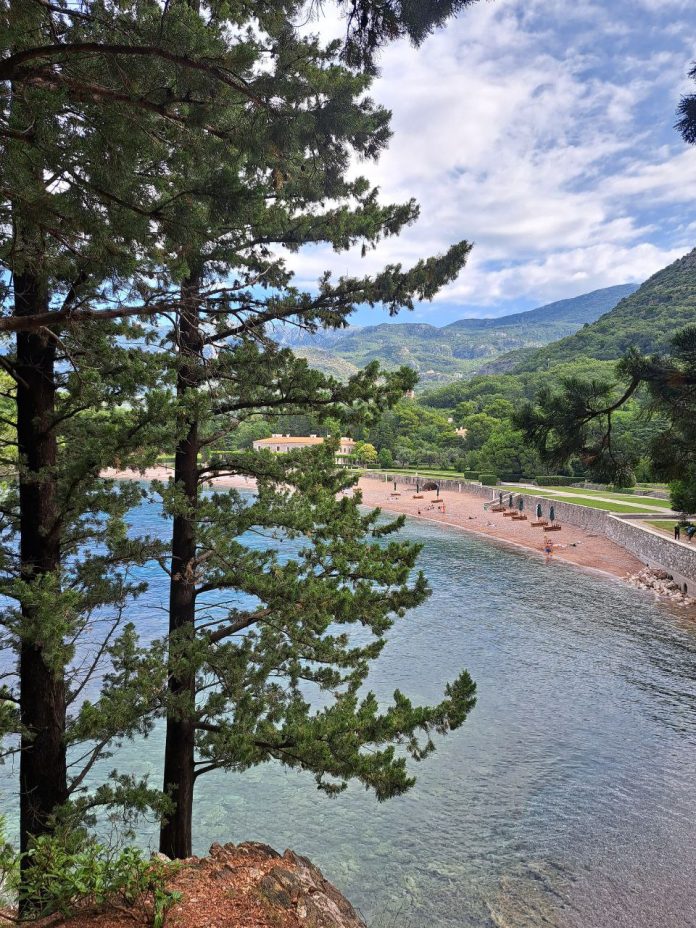 photo_2025-01-13_13-08-33