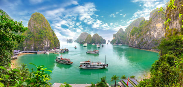 istockphoto-1153561755-612x612