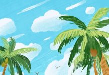 Весна–літо 2026 — до 60% дешевше в жовтні!