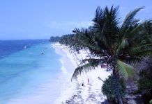 Екзотика — Кенія у грудні! Сафари, океан, африканський колорит. Виліт середина грудня — бронюй завчасно!