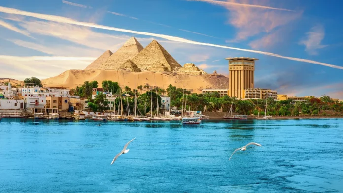 shchyroke-nova--scaled