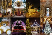 Автобусний тур “Париж та Амстердам збирає друзів” за 7 днів – без нічних переїздів!