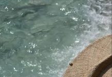 Раннє бронювання авіатурів на море з Жешува, літо 2026