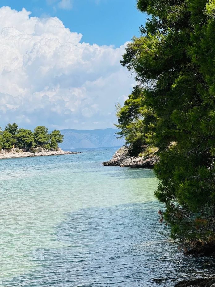 photo_2025-01-13_13-08-43