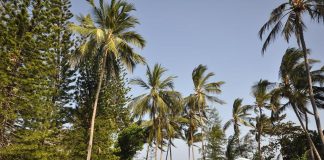 КЕНІЯ 14 ночей – 157 404 грн за двох