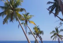 Мальдіви прямий переліт 139 813 гр на двох