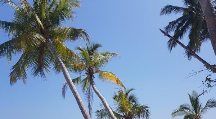 Мальдіви прямий переліт 139 813 гр на двох