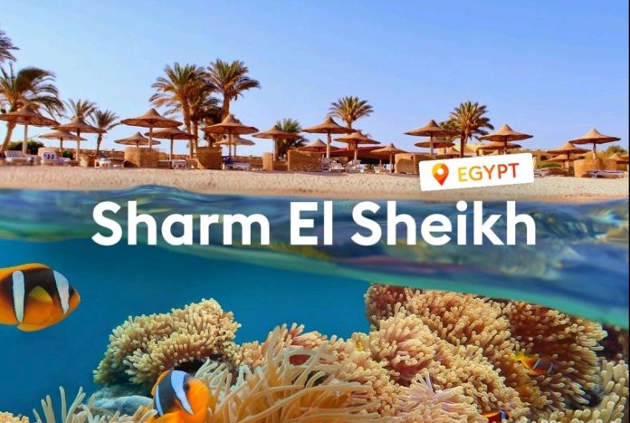 Screenshot_20251201_164852