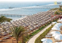 Шарм ель Шейх 21 ночей 81 082 гр на двох