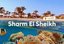 ЄГИПЕТ з КИШЕНЕВА. Ціни знижено