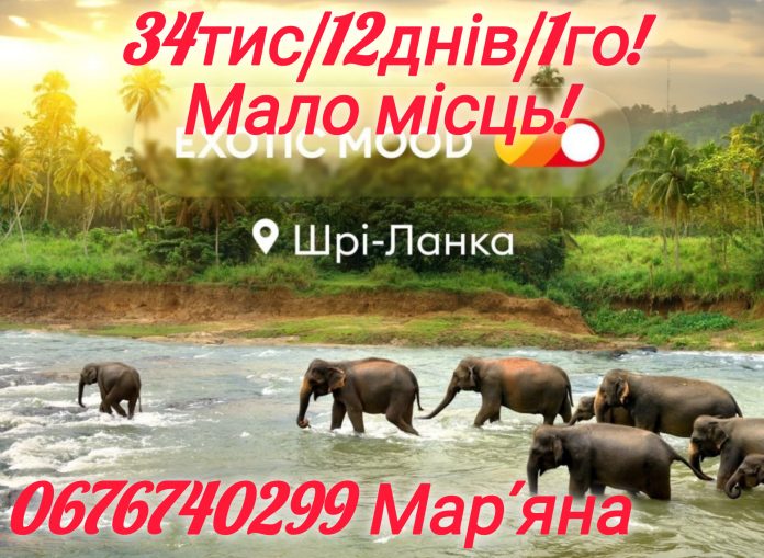 InShot_20260226_123540976