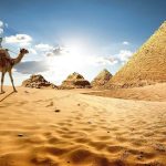 pro-Egypt-p2k3fadec8qx84biejiym4g7h9g0l7g0lakxkeboqo