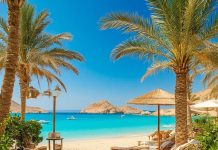 ⭐️Єгипет JAZ Viva Casa Maza 5*⭐️