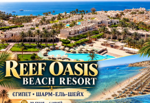 REEF OASIS BEACH RESORT 5/4 — ПІЩАНИЙ ПЛЯЖ І КОРАЛОВИЙ РИФ, ЗАРАДИ ЯКИХ ХОЧЕТЬСЯ ПОВЕРТАТИСЯ!